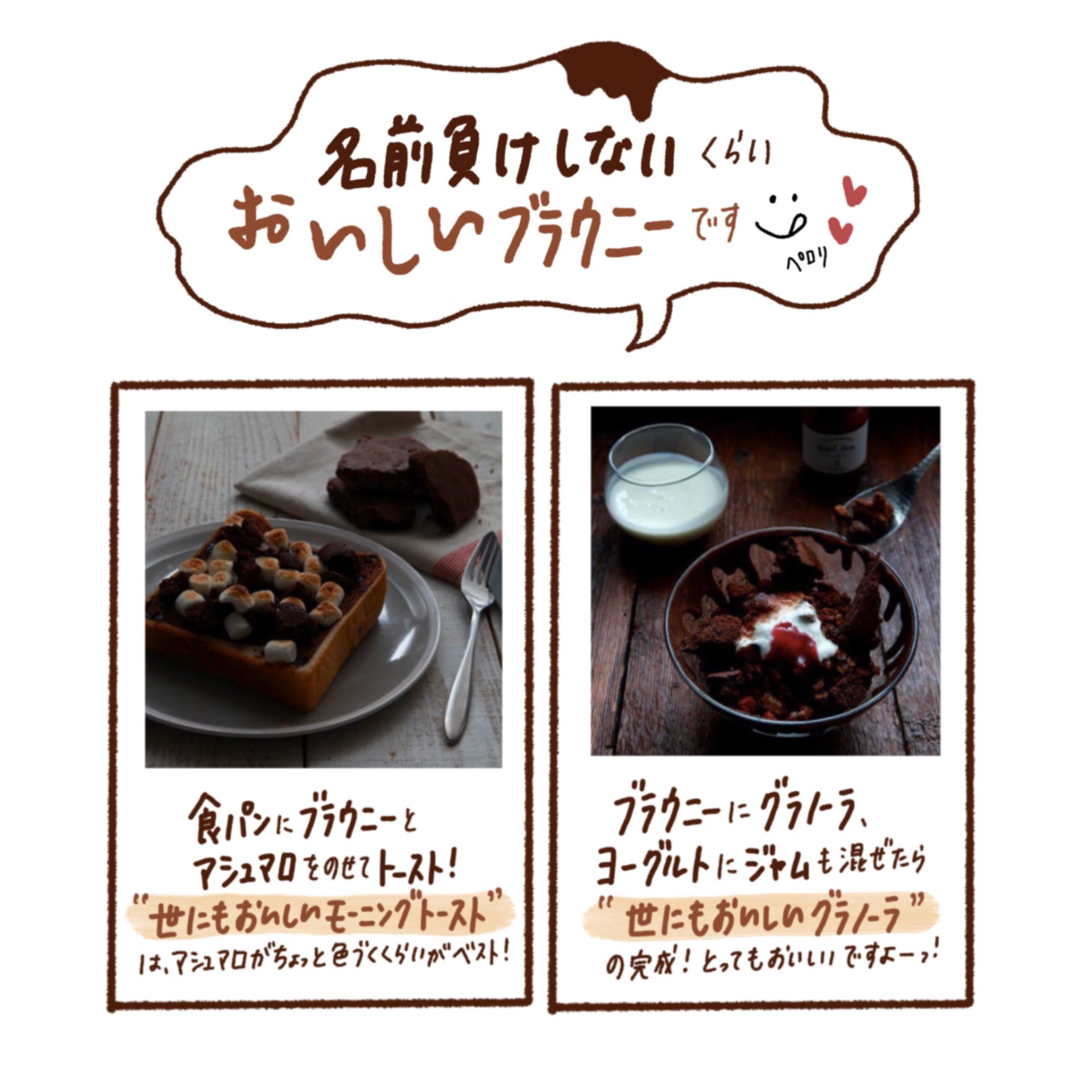 世にもおいしいチョコブラウニー Pion